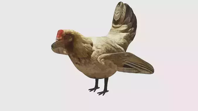 Low Poly Chicken Rigged With Realistic Texture 3D model