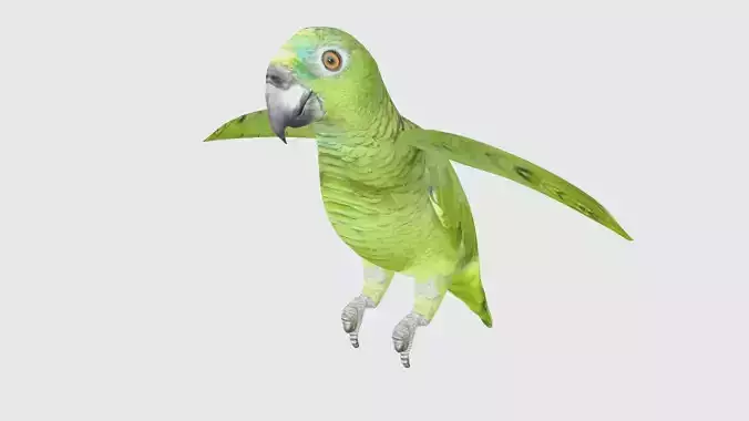 Low Poly Parrot Rigged With Realistic Texture