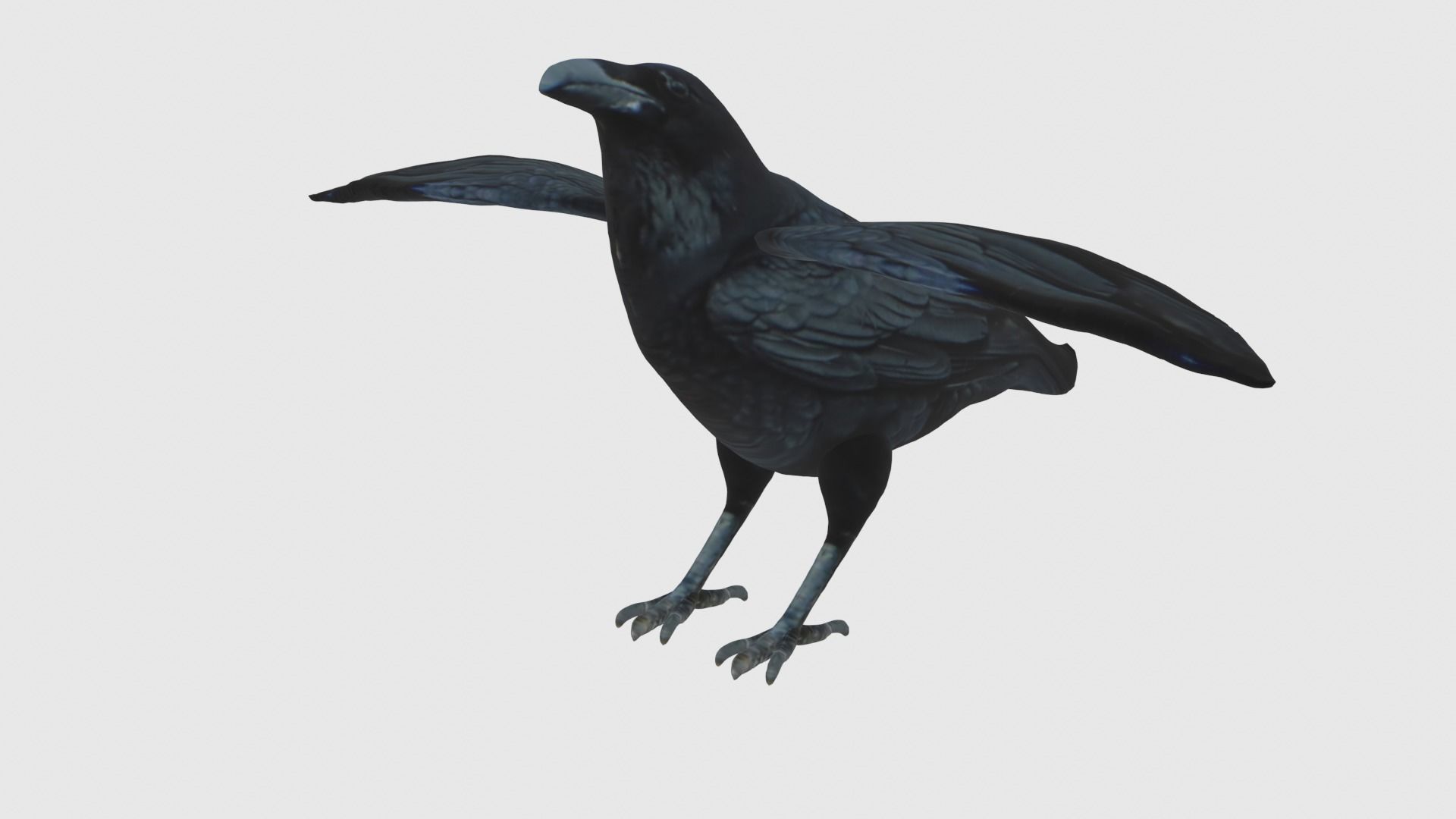 Low Poly Raven Rigged With Realistic Texture 3D model_1