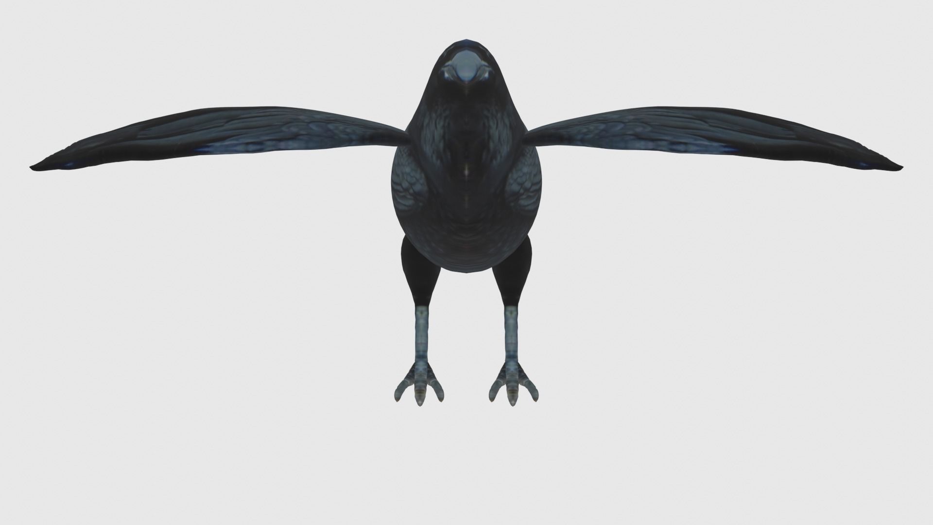 Low Poly Raven Rigged With Realistic Texture 3D model_5
