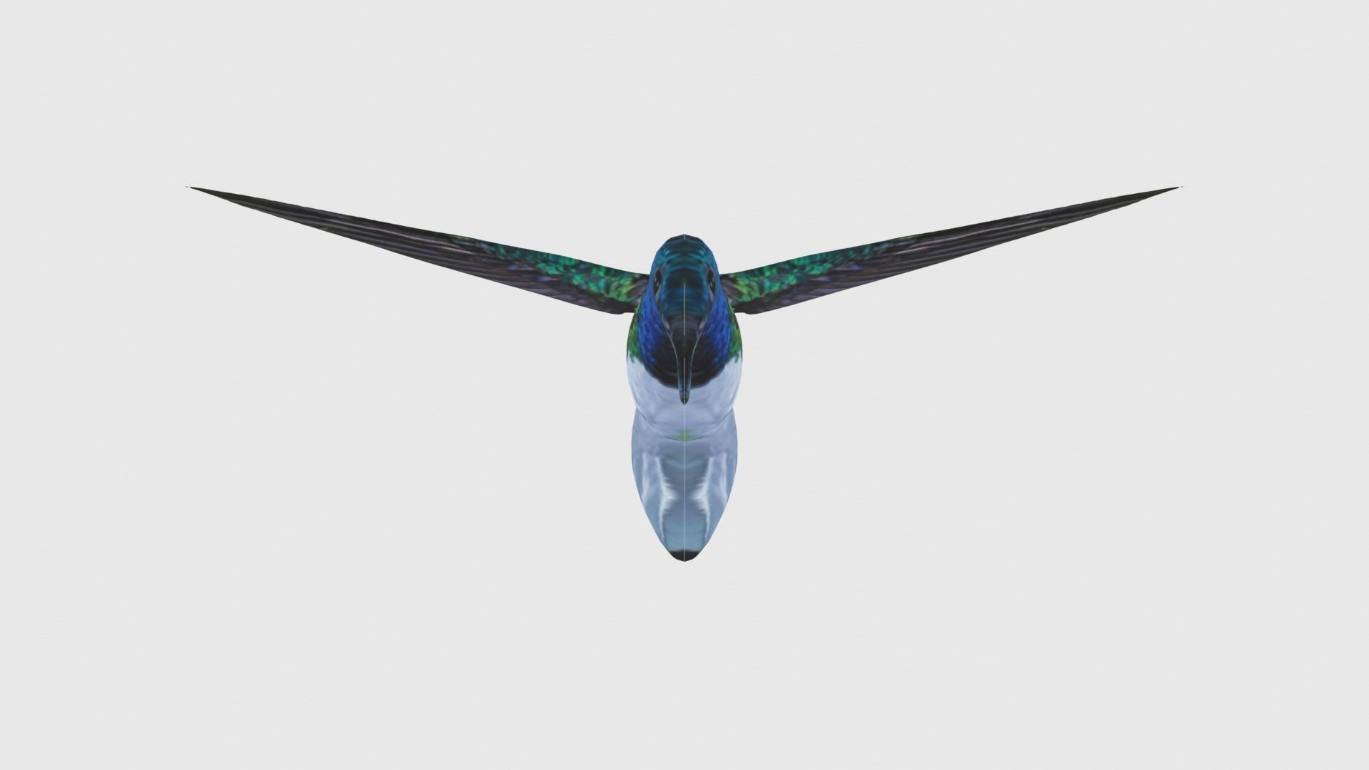 Low Poly Hummingbird Rigged With Realistic Texture Low-poly 3D model_1
