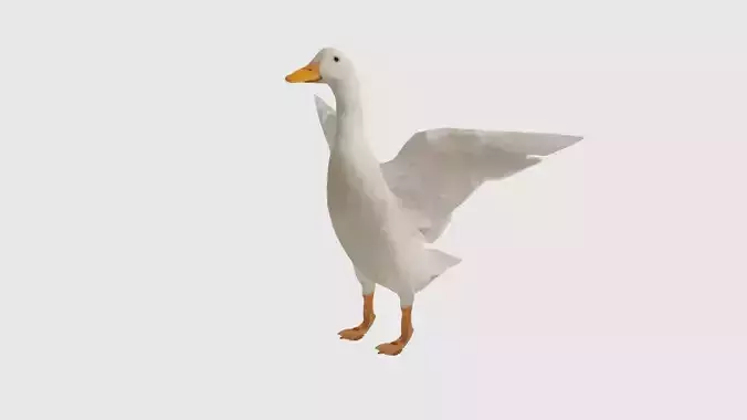 Low Poly Duck Rigged With Realistic Texture 3D model