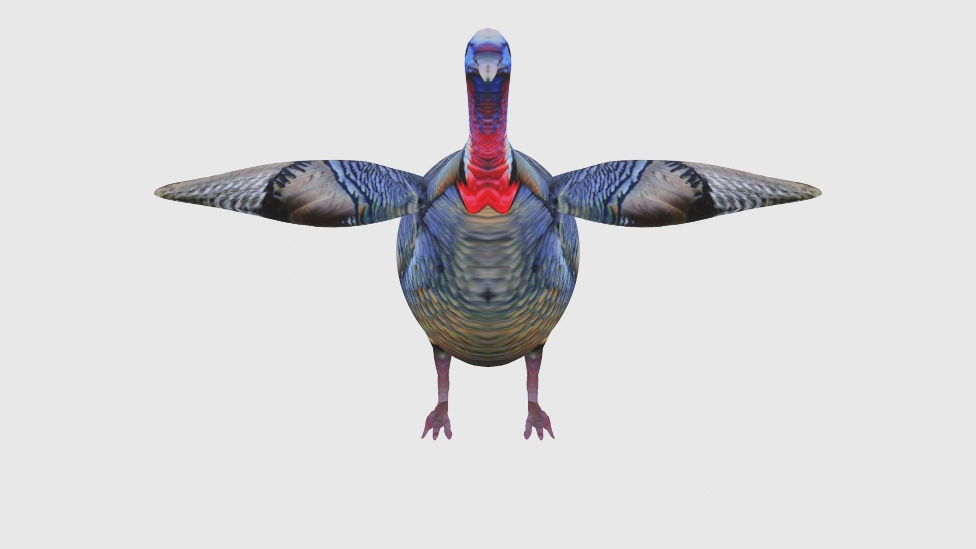 Low Poly Turkey Rigged With Realistic Texture Low-poly 3D model_1