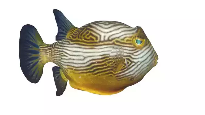 Low Poly Cowfish Rigged With Realistic Texture 3D model