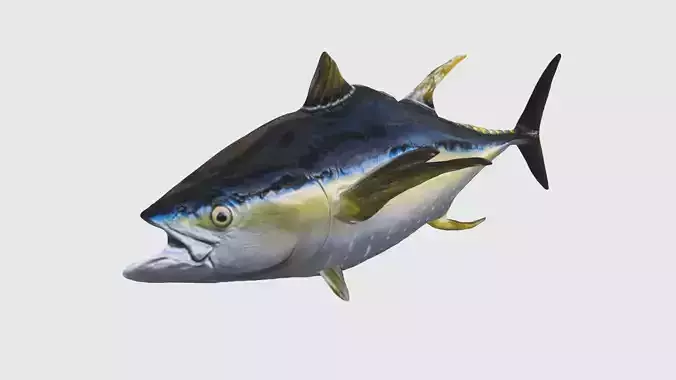 Low Poly Tuna Rigged With Realistic Texture 3D model
