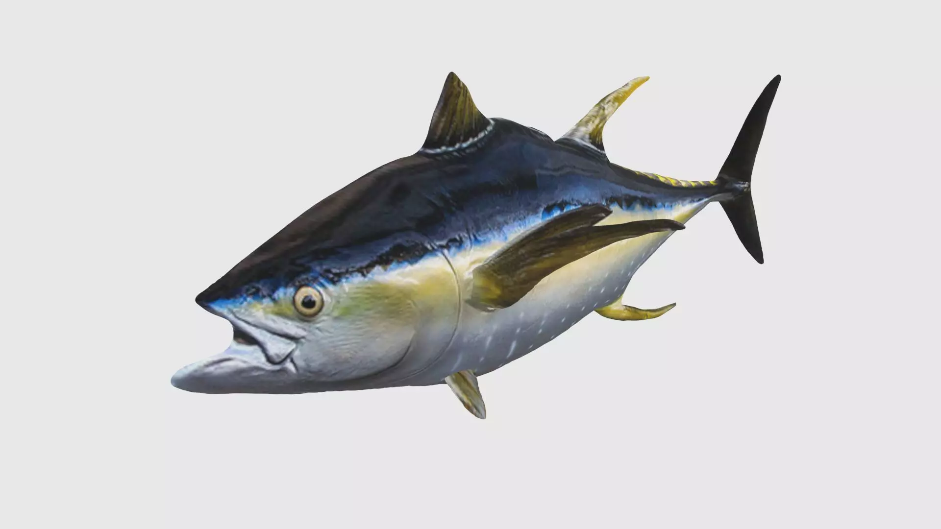 Low Poly Tuna Rigged With Realistic Texture 3D model