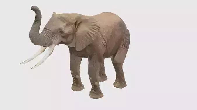 Low Poly Elephant Rigged With Realistic Texture