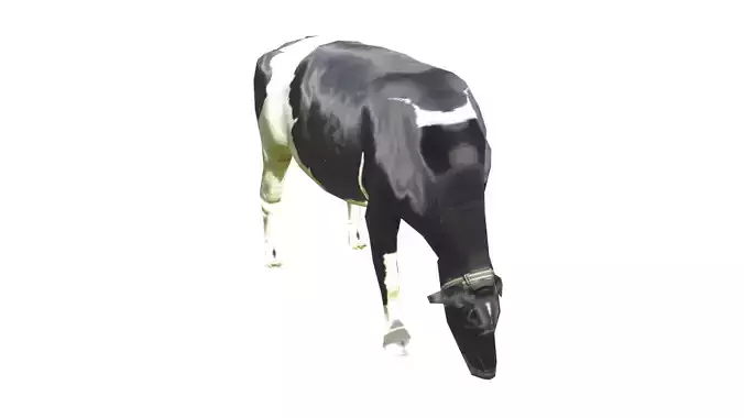 Low Poly Cow Rigged With Realistic Texture 3D model