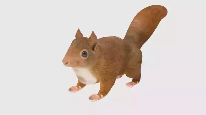 Low Poly Squirrel Rigged With Realistic Texture Low-poly 3D model