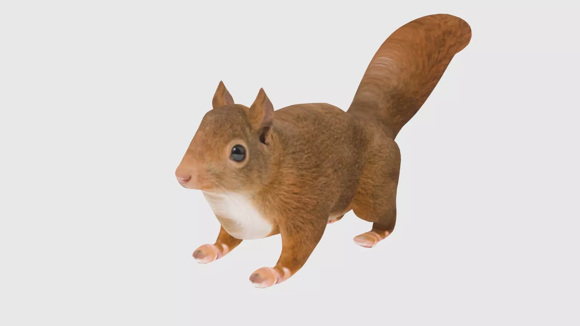 Low Poly Squirrel Rigged With Realistic Texture Low-poly 3D model_0