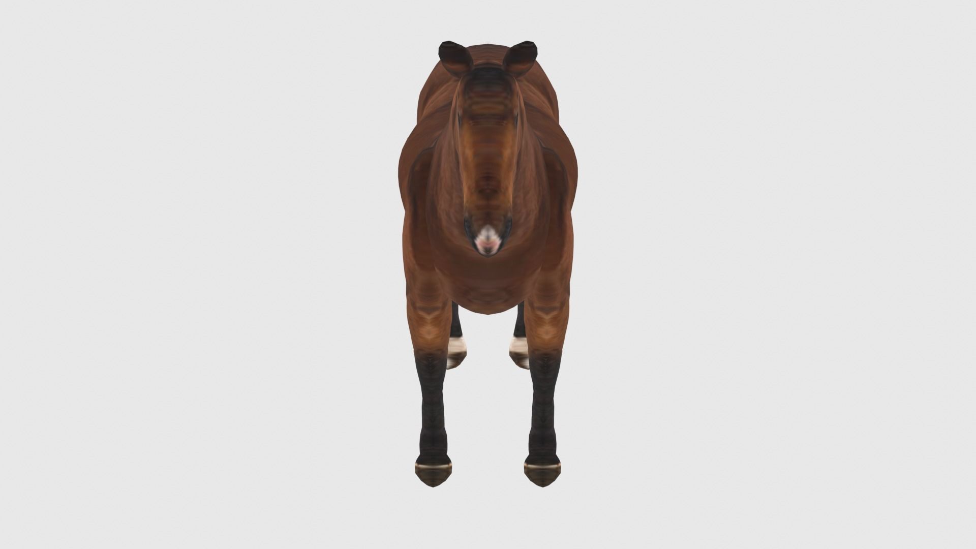 Low Poly Horse Rigged With Realistic Texture 3D model_1
