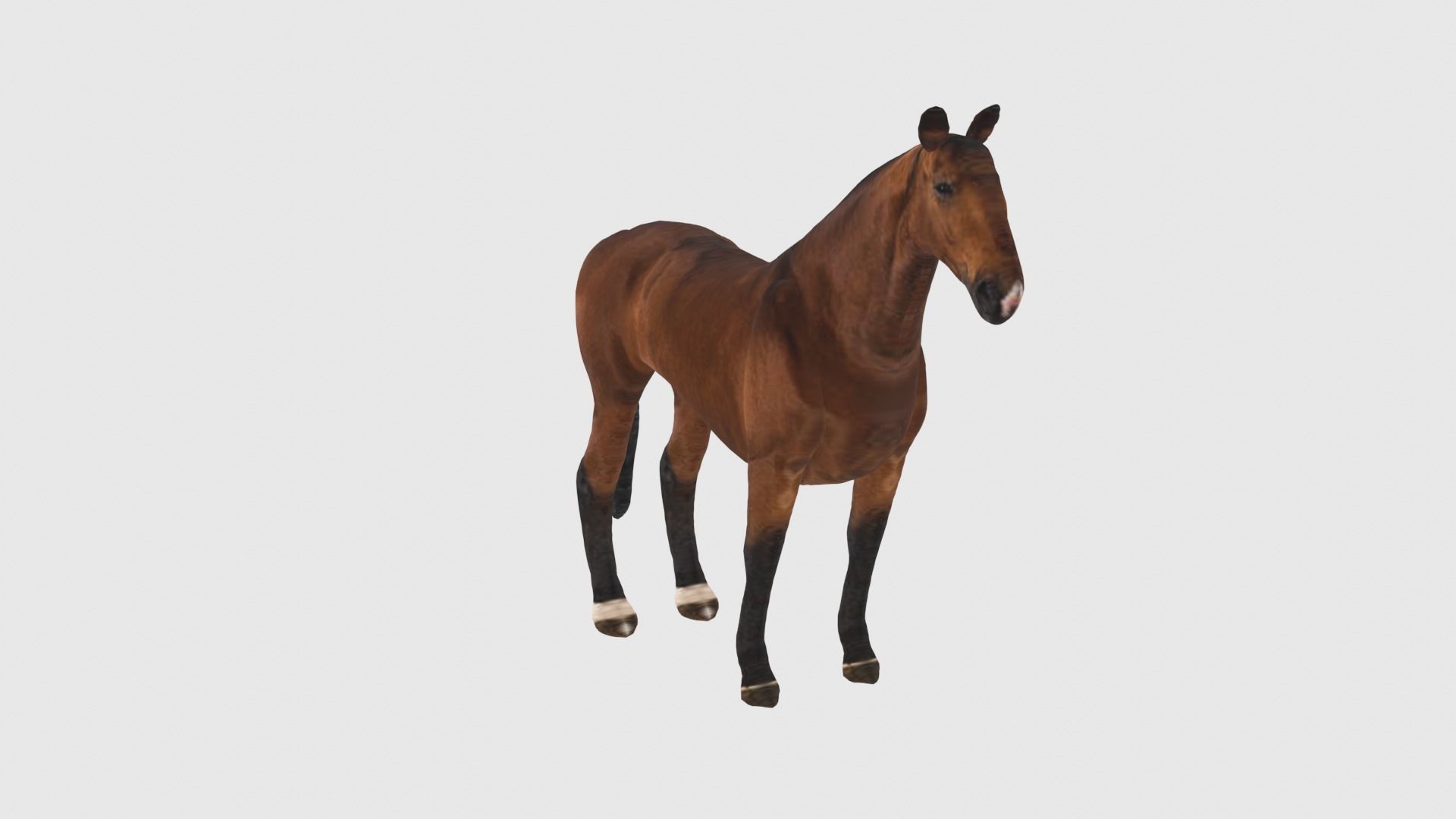 Low Poly Horse Rigged With Realistic Texture 3D model_3