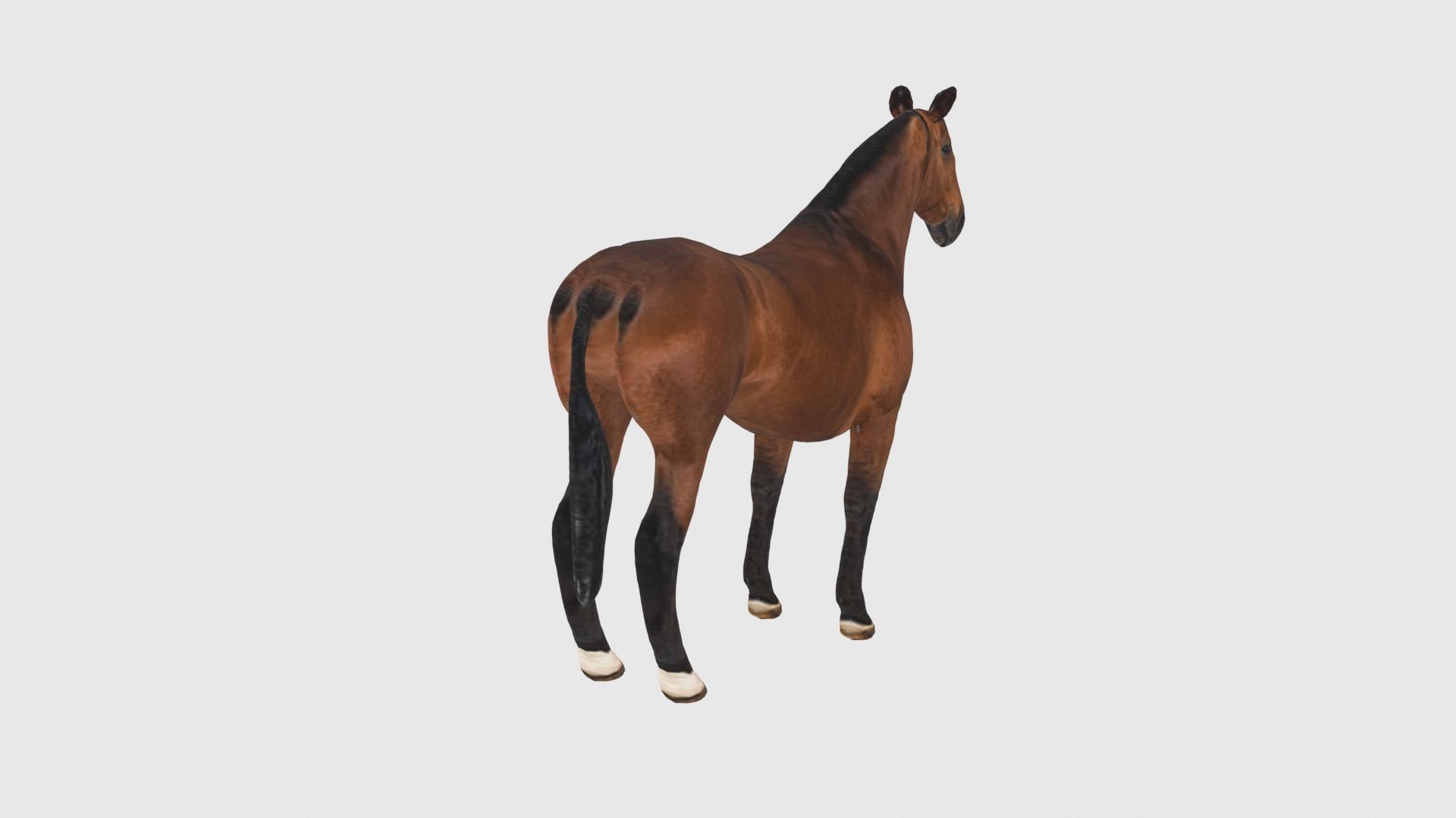 Low Poly Horse Rigged With Realistic Texture 3D model_4