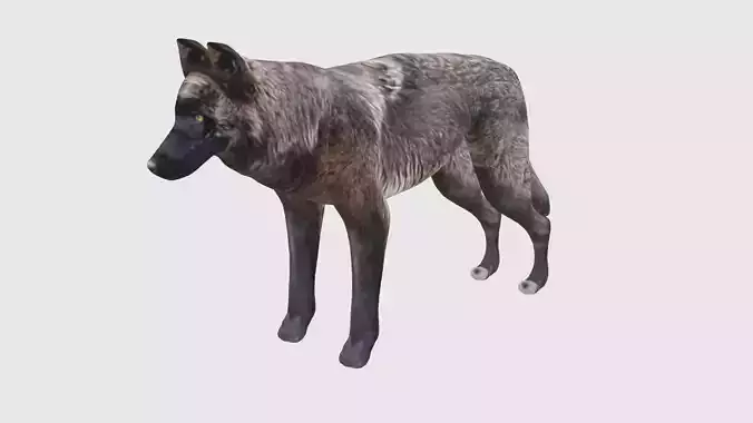 Low Poly Wolf Rigged With Realistic Texture