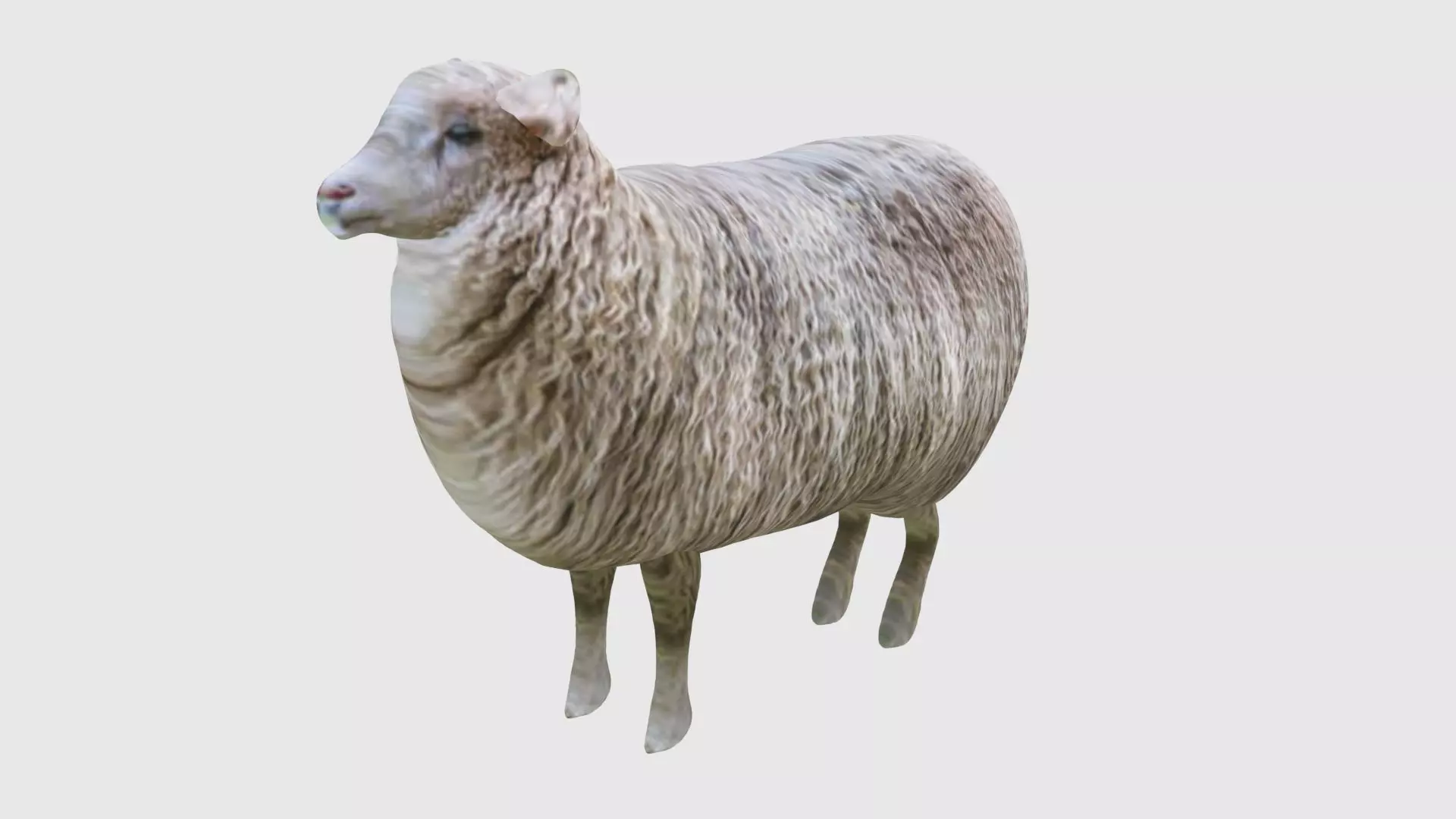 Low Poly Sheep Rigged With Realistic Texture 3D model_0