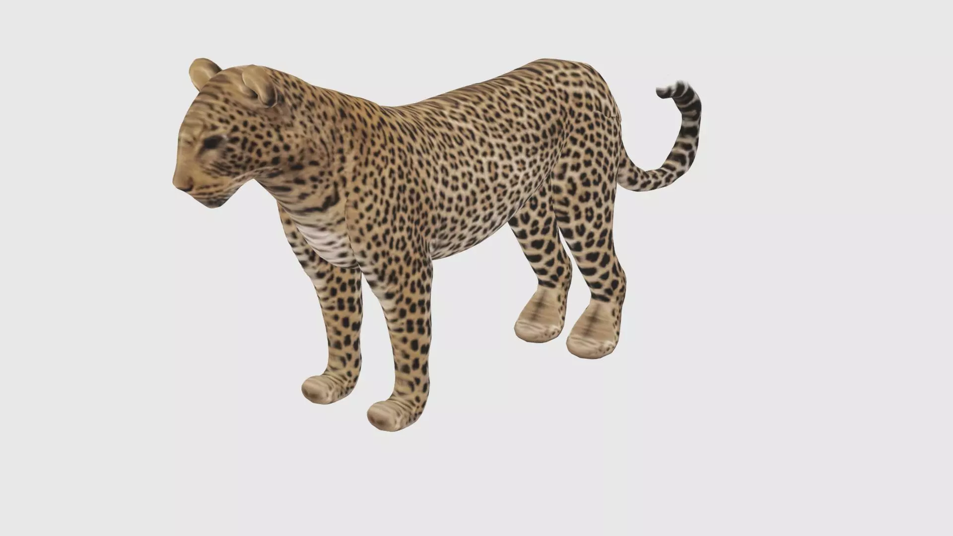 Low Poly Leopard Rigged With Realistic Texture 3D model