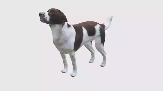 Low Poly Dog Rigged With Realistic Texture 3D model