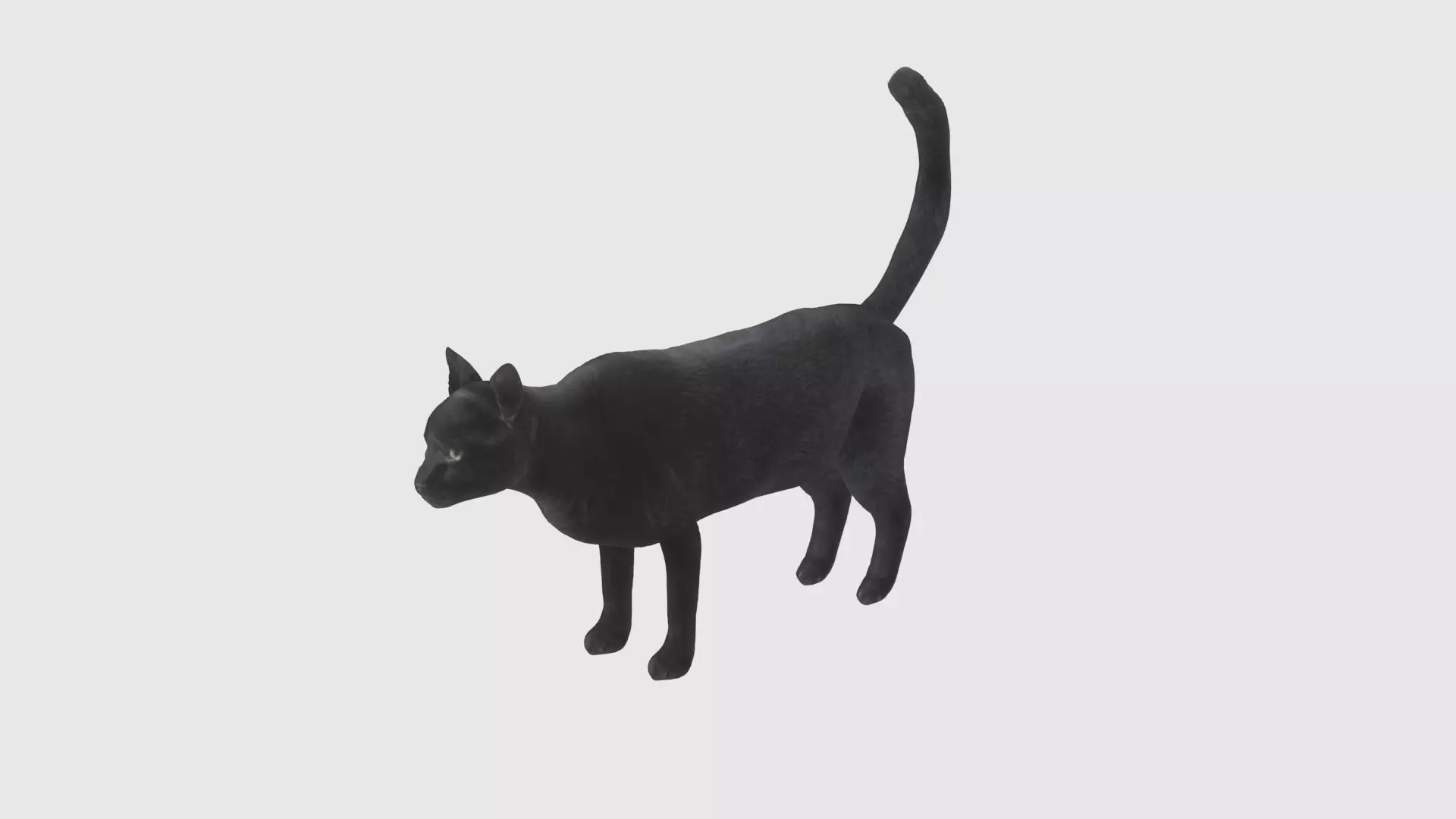 Low Poly Cat Rigged With Realistic Texture Low-poly 3D model