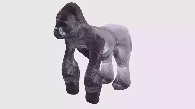 Low Poly Gorilla Rigged With Realistic Texture 3D model