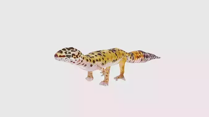 Low Poly Gecko Rigged With Realistic Texture
