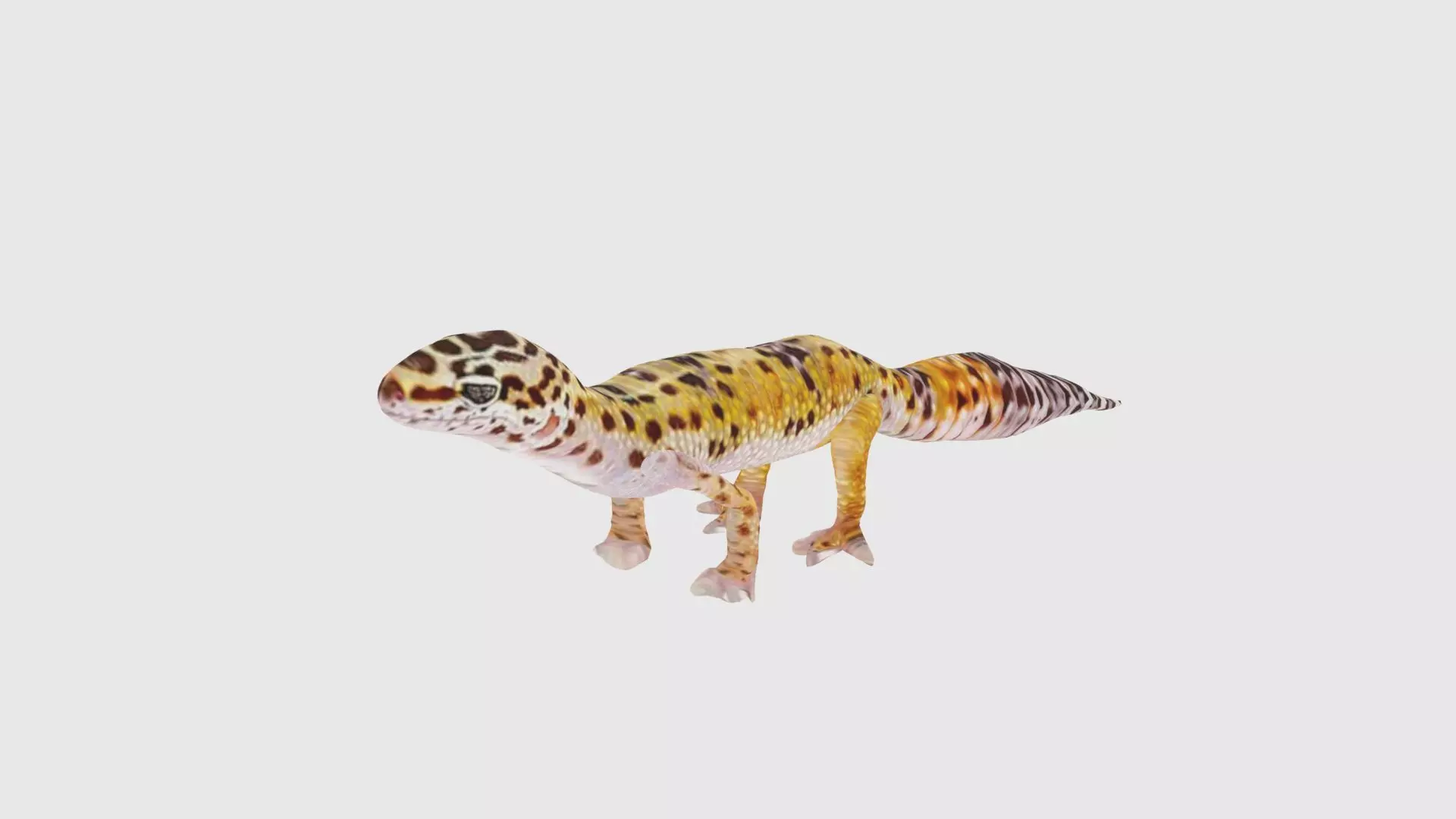 Low Poly Gecko Rigged With Realistic Texture Low-poly 3D model