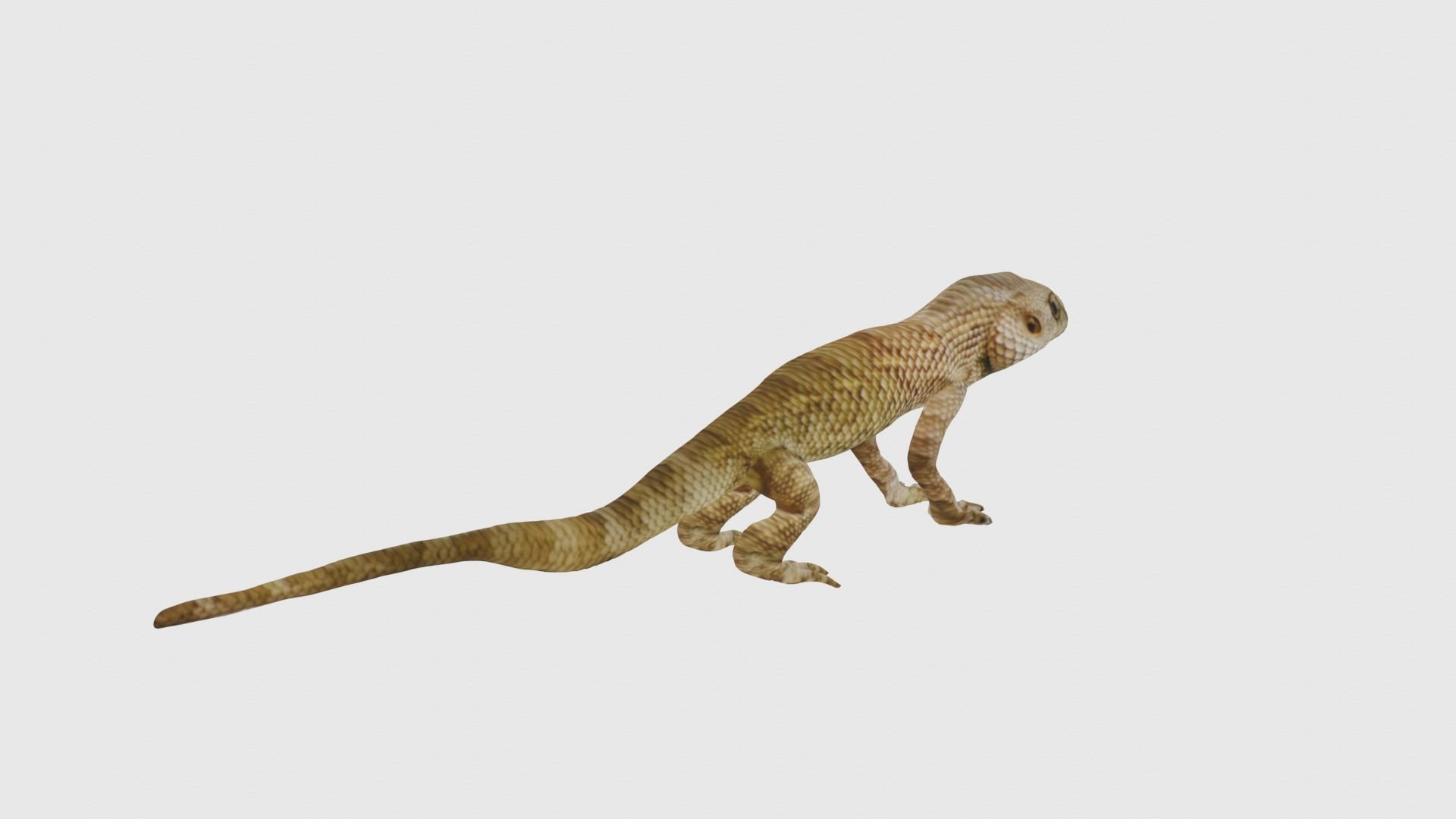 Low Poly Lizard Rigged With Realistic Texture Low-poly 3D model_6