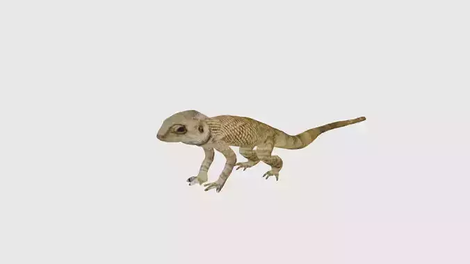 Low Poly Lizard Rigged With Realistic Texture Low-poly 3D model