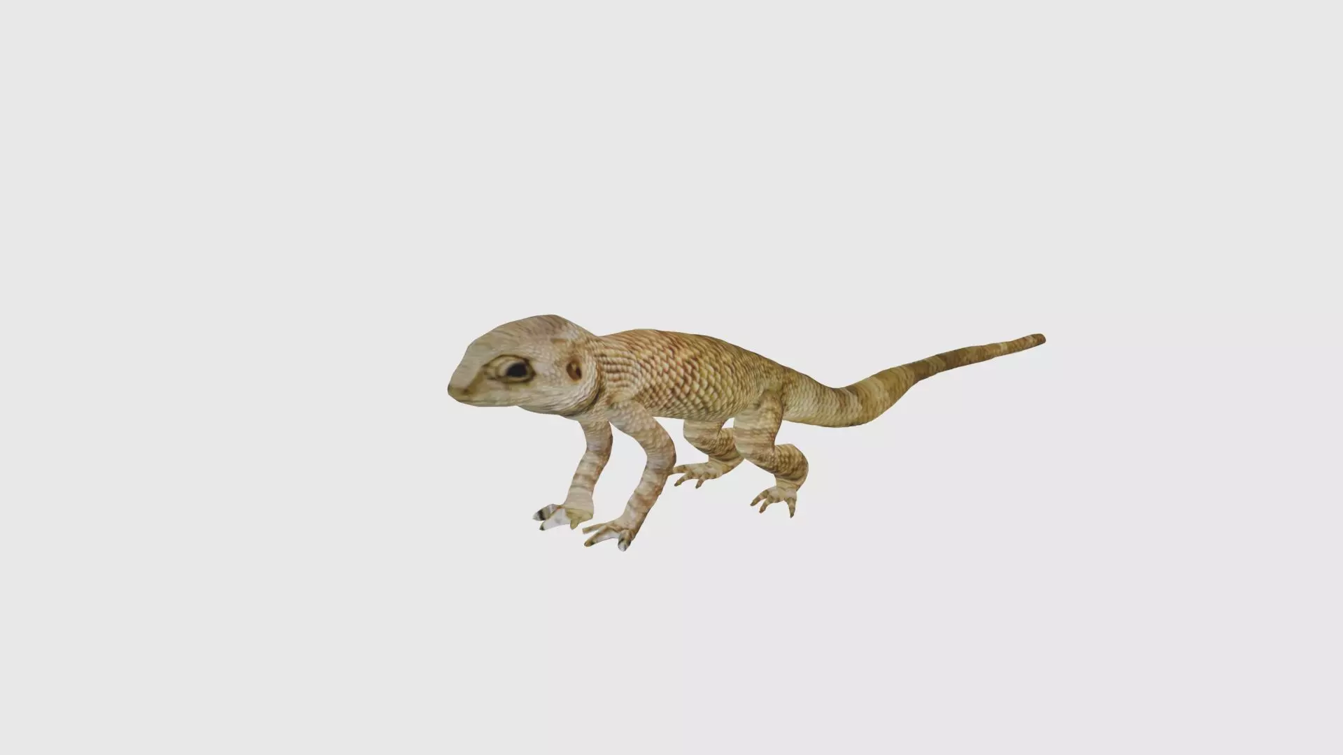 Low Poly Lizard Rigged With Realistic Texture Low-poly 3D model_0
