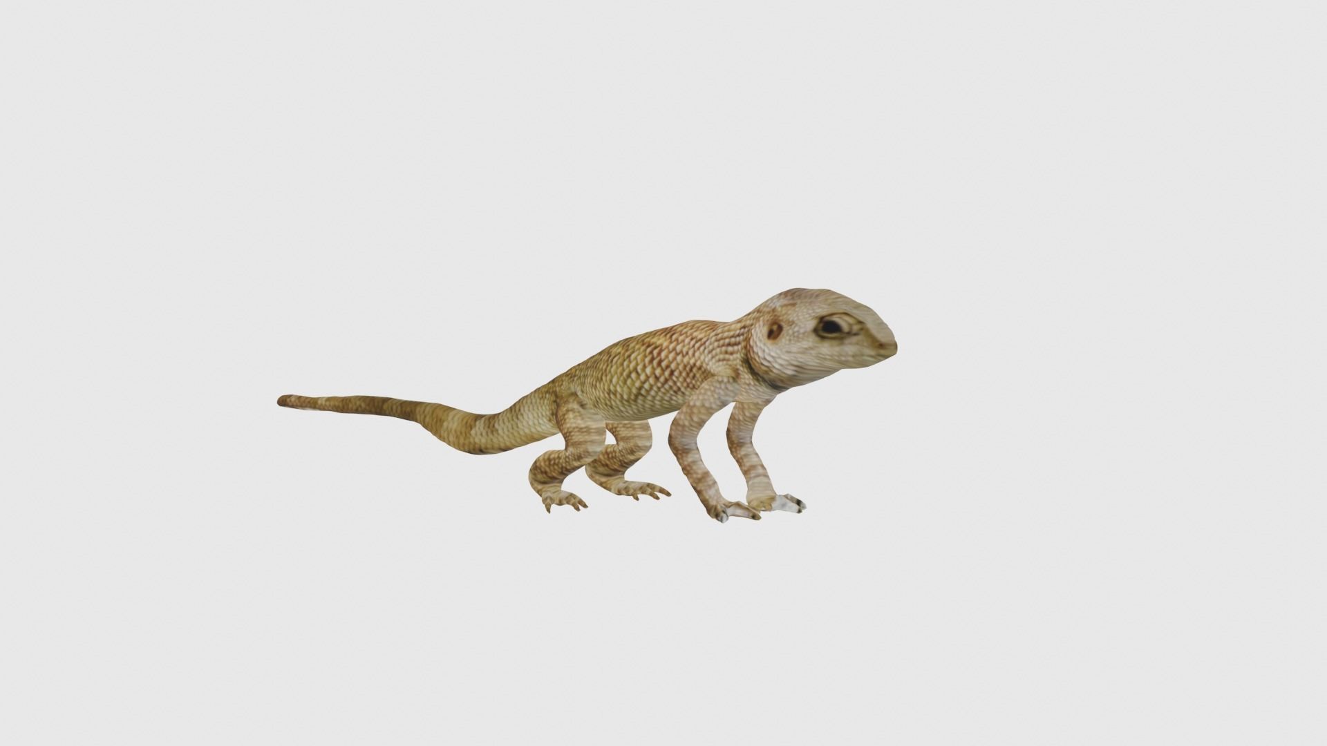 Low Poly Lizard Rigged With Realistic Texture Low-poly 3D model_3