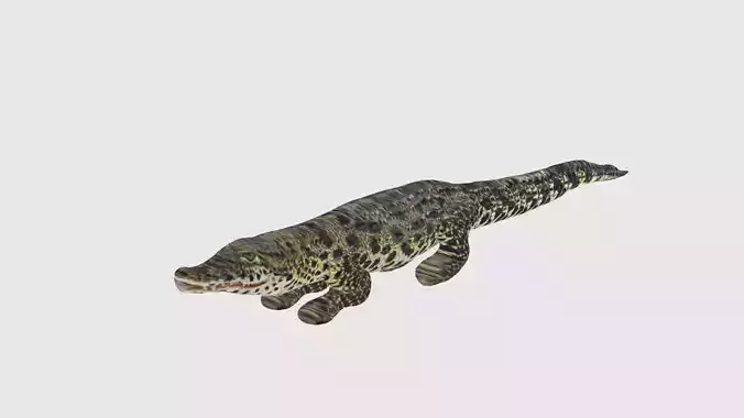 Low Poly Crocodile Rigged With Realistic Texture 3D model