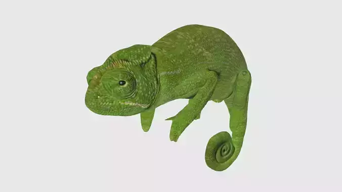 Low Poly Chameleon Rigged With Realistic Texture Low-poly 3D model