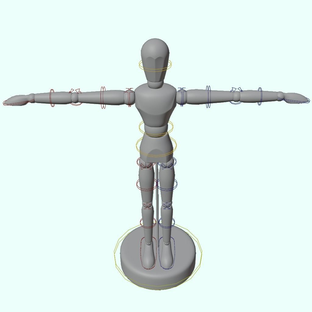 Art Dummy 3D model_13