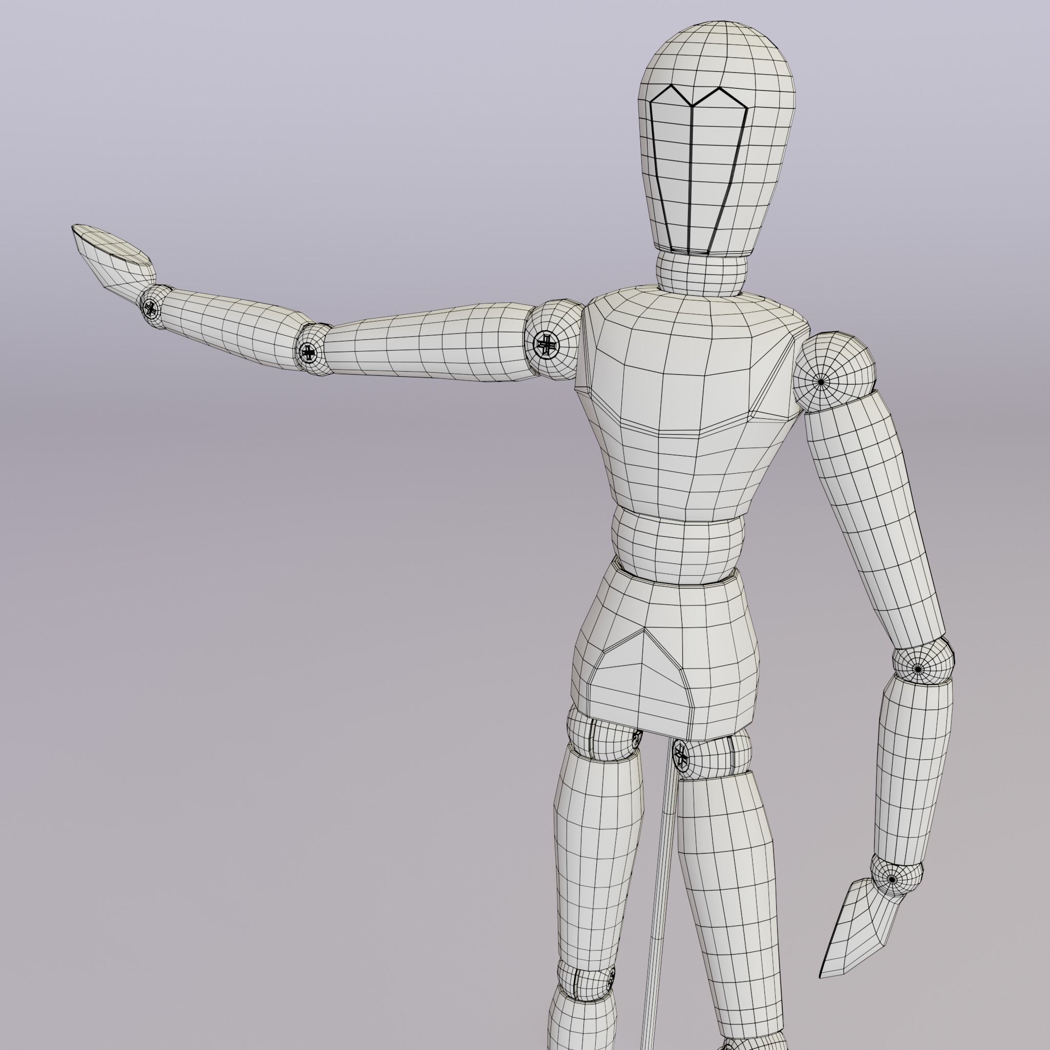 Art Dummy 3D model_19