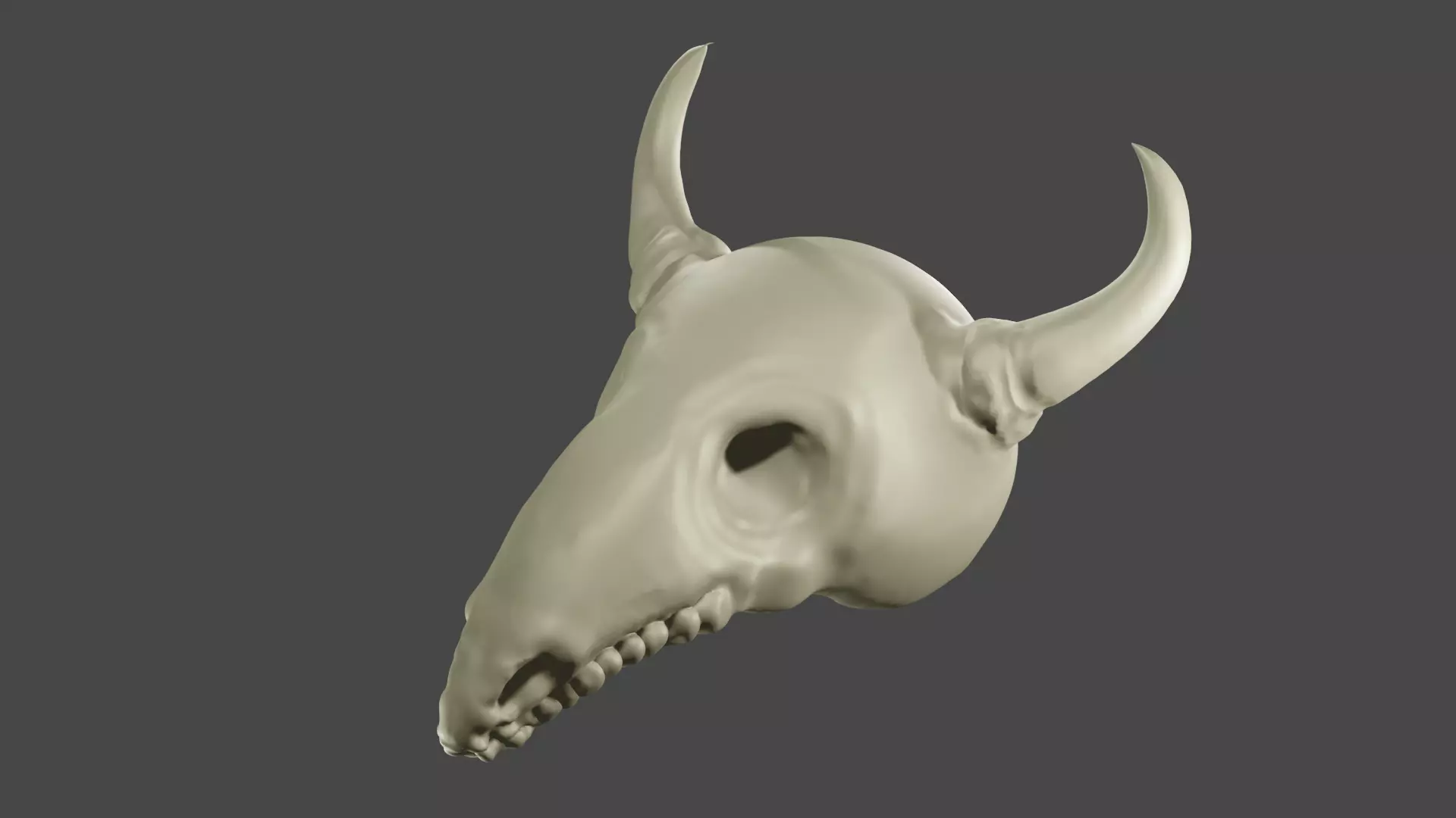 Cow Skull 3D model