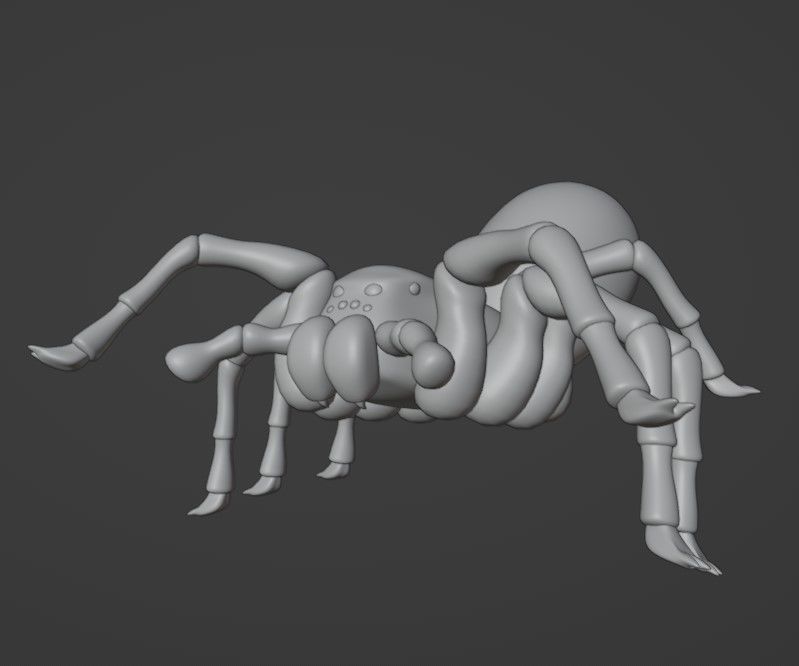 Simple Spider Model 3D model_9