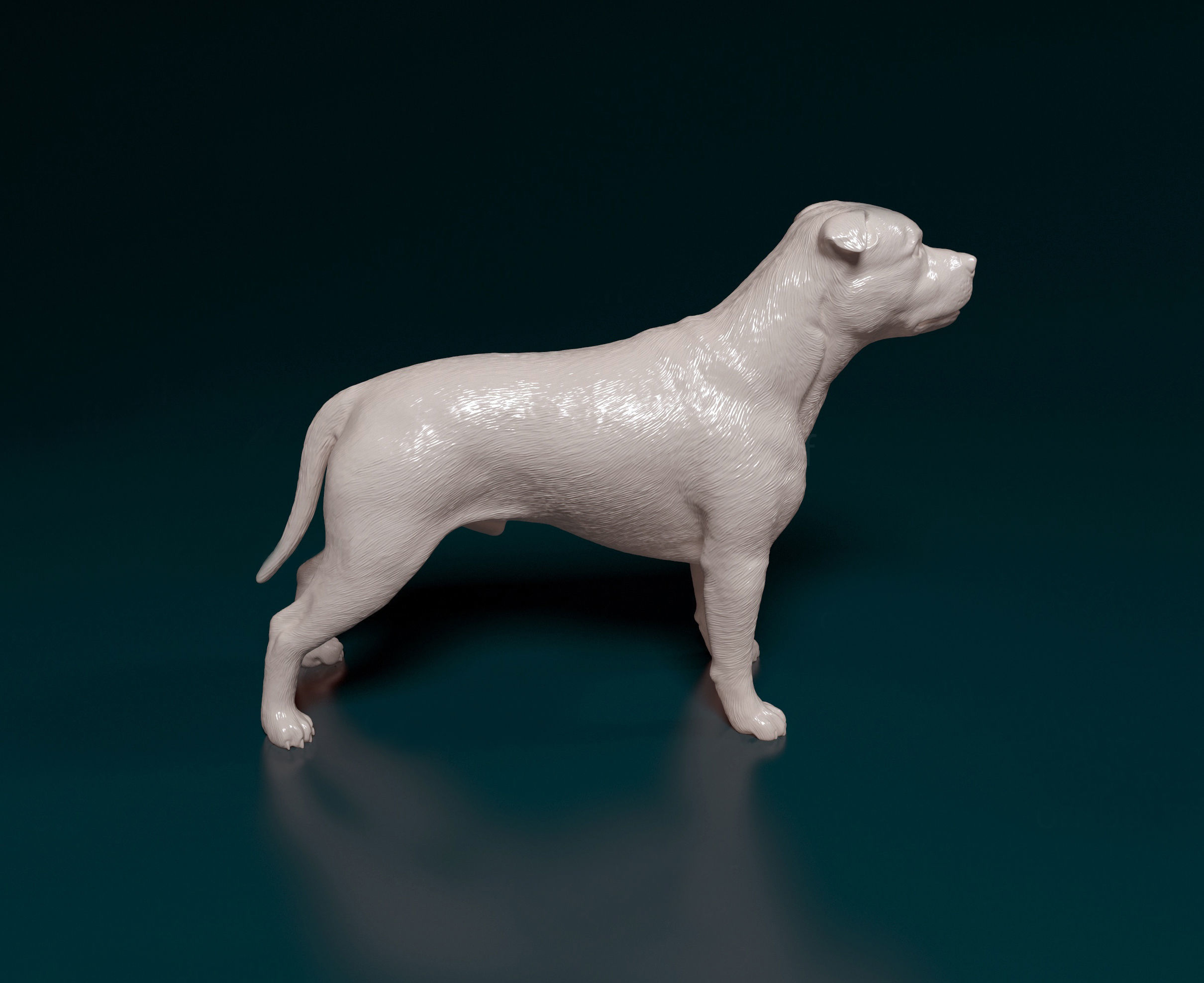 Staffordshire Bull terrier 2 3D print model_3