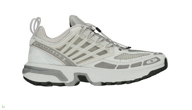 Salomon ACS pro advanced 3D model