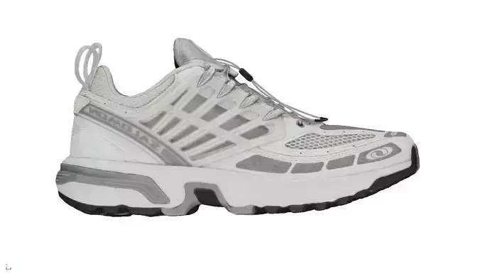 Salomon ACS pro advanced 3D model