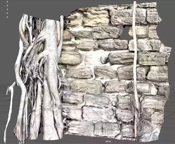 Ancient broken brick wall with beautiful stems of tree 