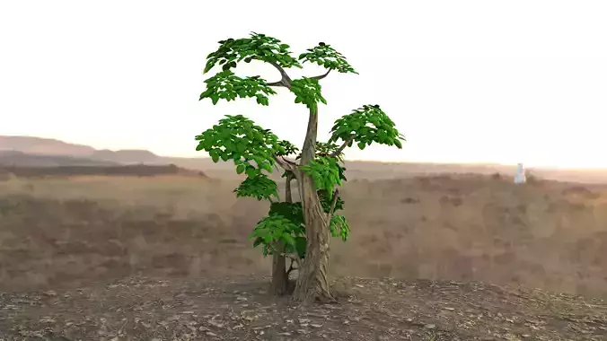 Realistic Tree for games  3D model 