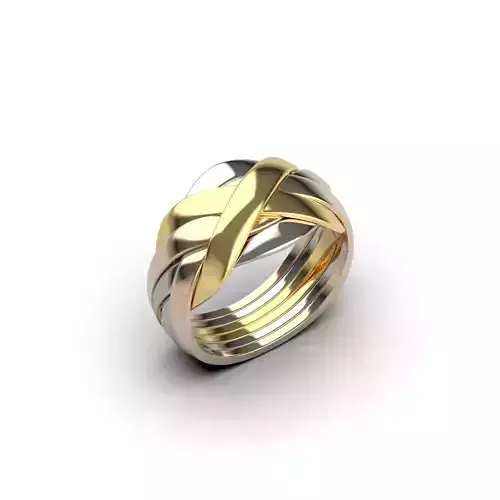 Puzzle Ring 2 3D print model