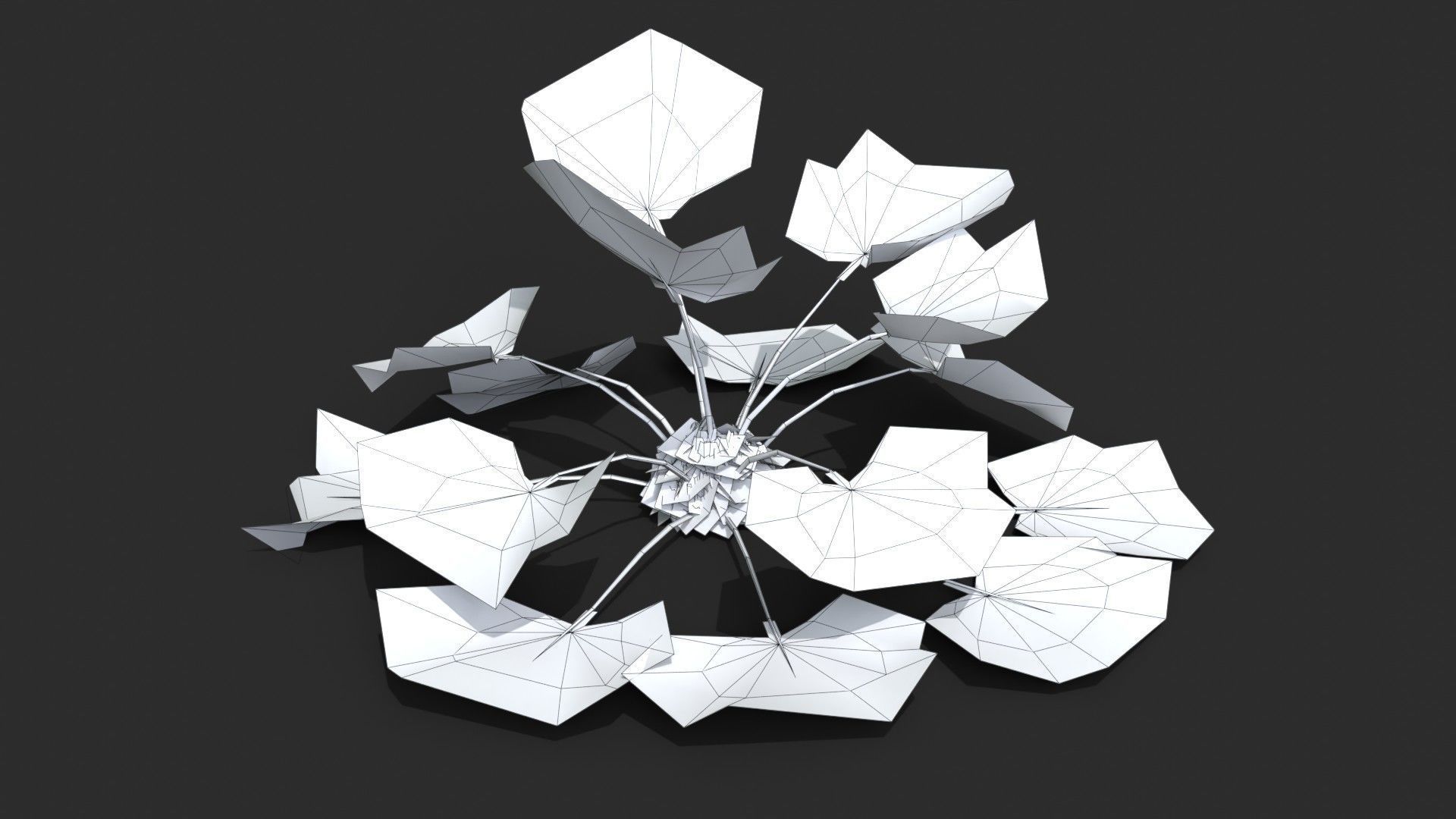 Modular Needle Palm Tree - Rhapidophyllum Hystrix Low-poly 3D model_23