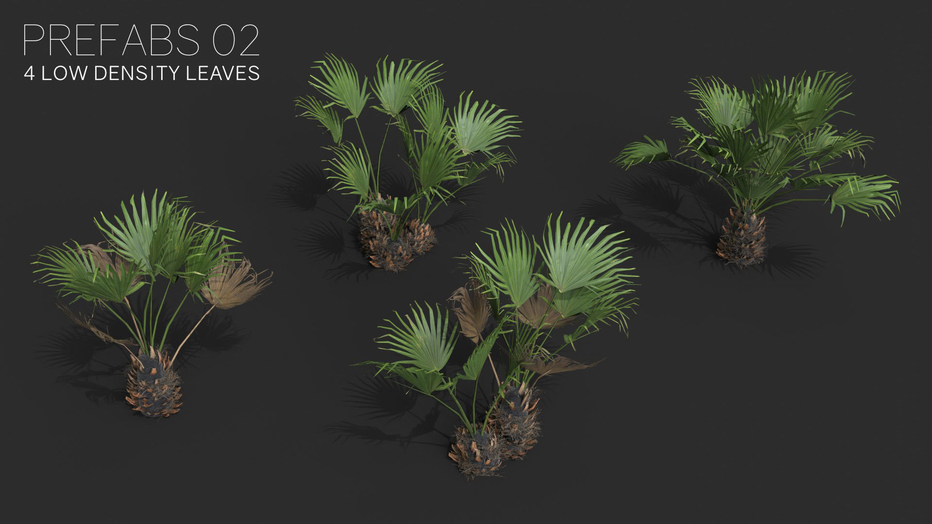 Modular Needle Palm Tree - Rhapidophyllum Hystrix Low-poly 3D model_3