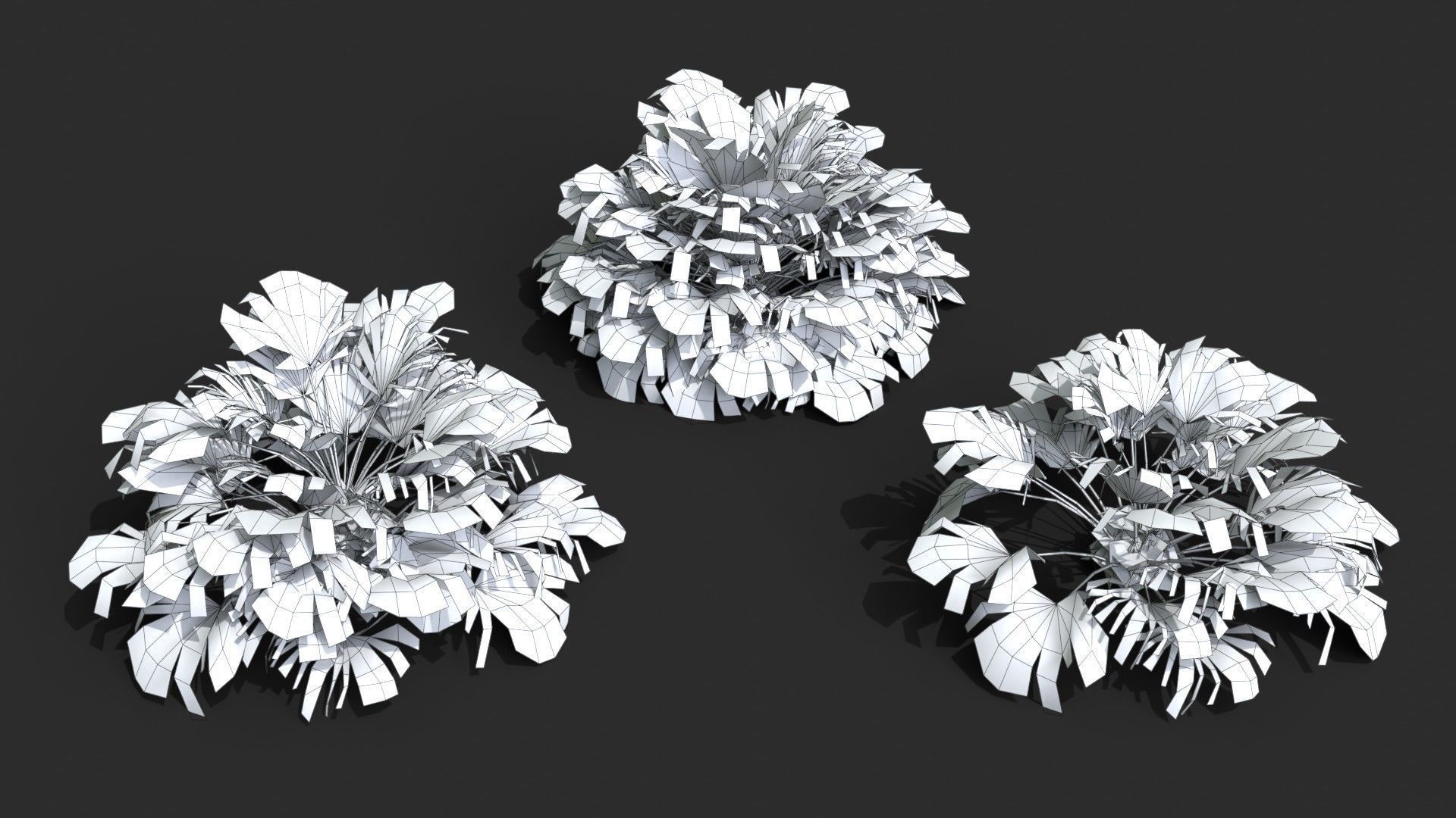 Modular Needle Palm Tree - Rhapidophyllum Hystrix Low-poly 3D model_21