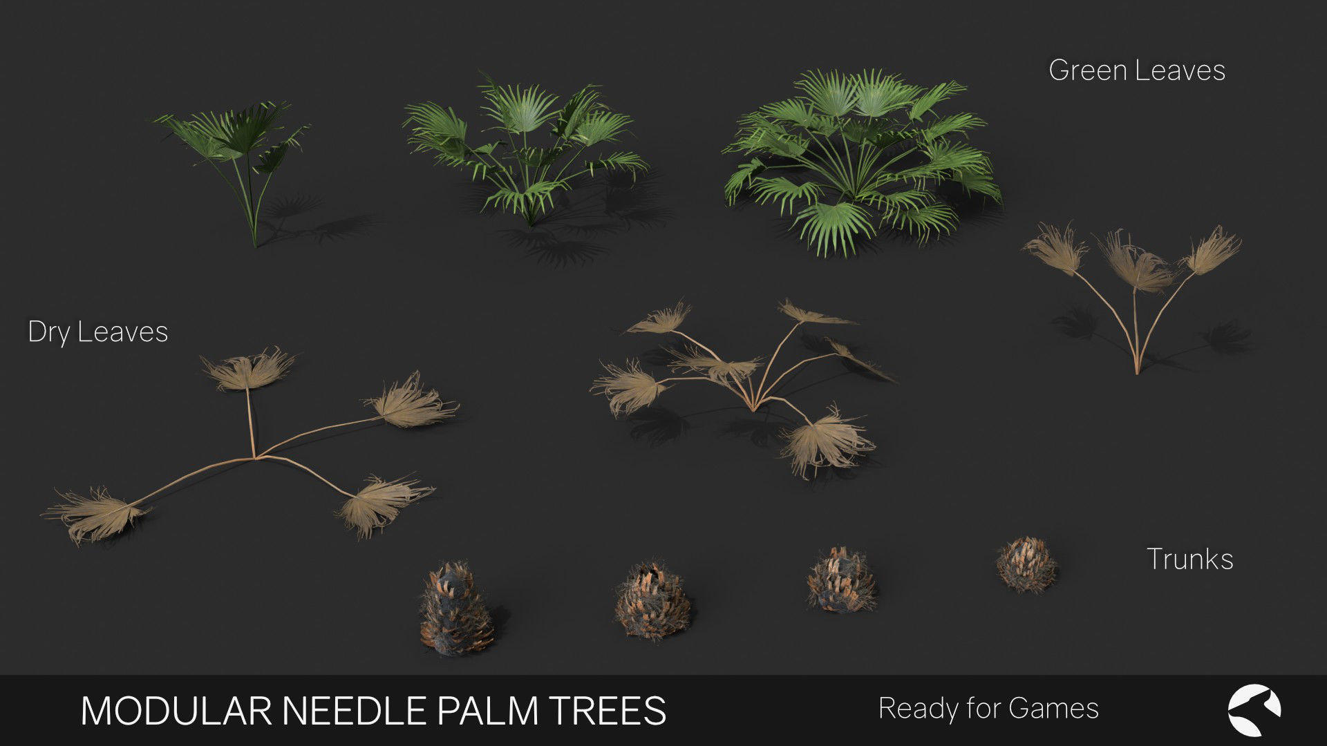 Modular Needle Palm Tree - Rhapidophyllum Hystrix Low-poly 3D model_1