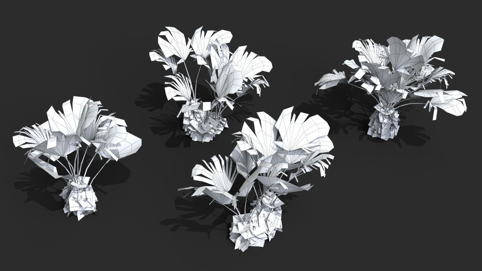 Modular Needle Palm Tree - Rhapidophyllum Hystrix Low-poly 3D model_22