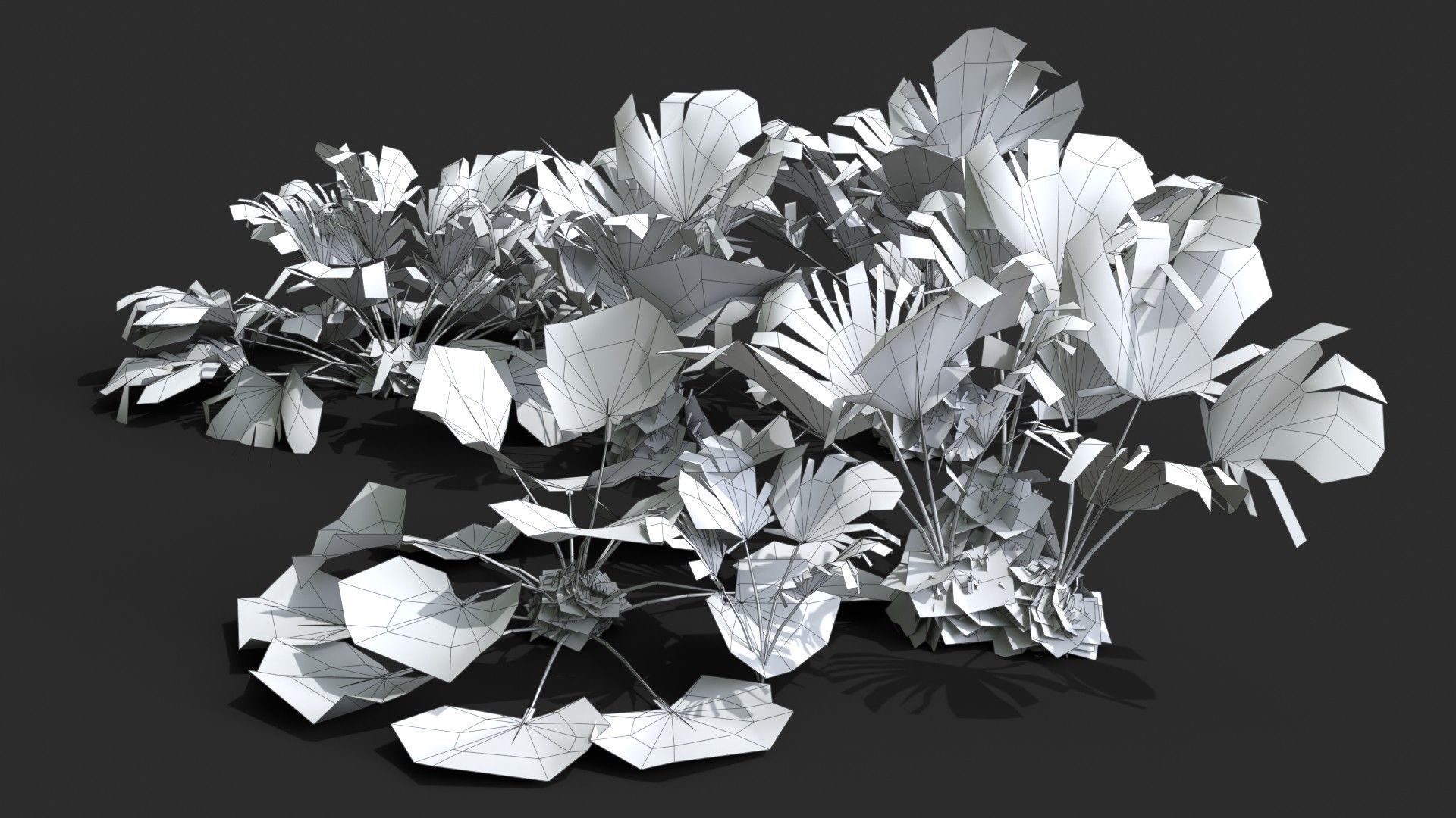 Modular Needle Palm Tree - Rhapidophyllum Hystrix Low-poly 3D model_15