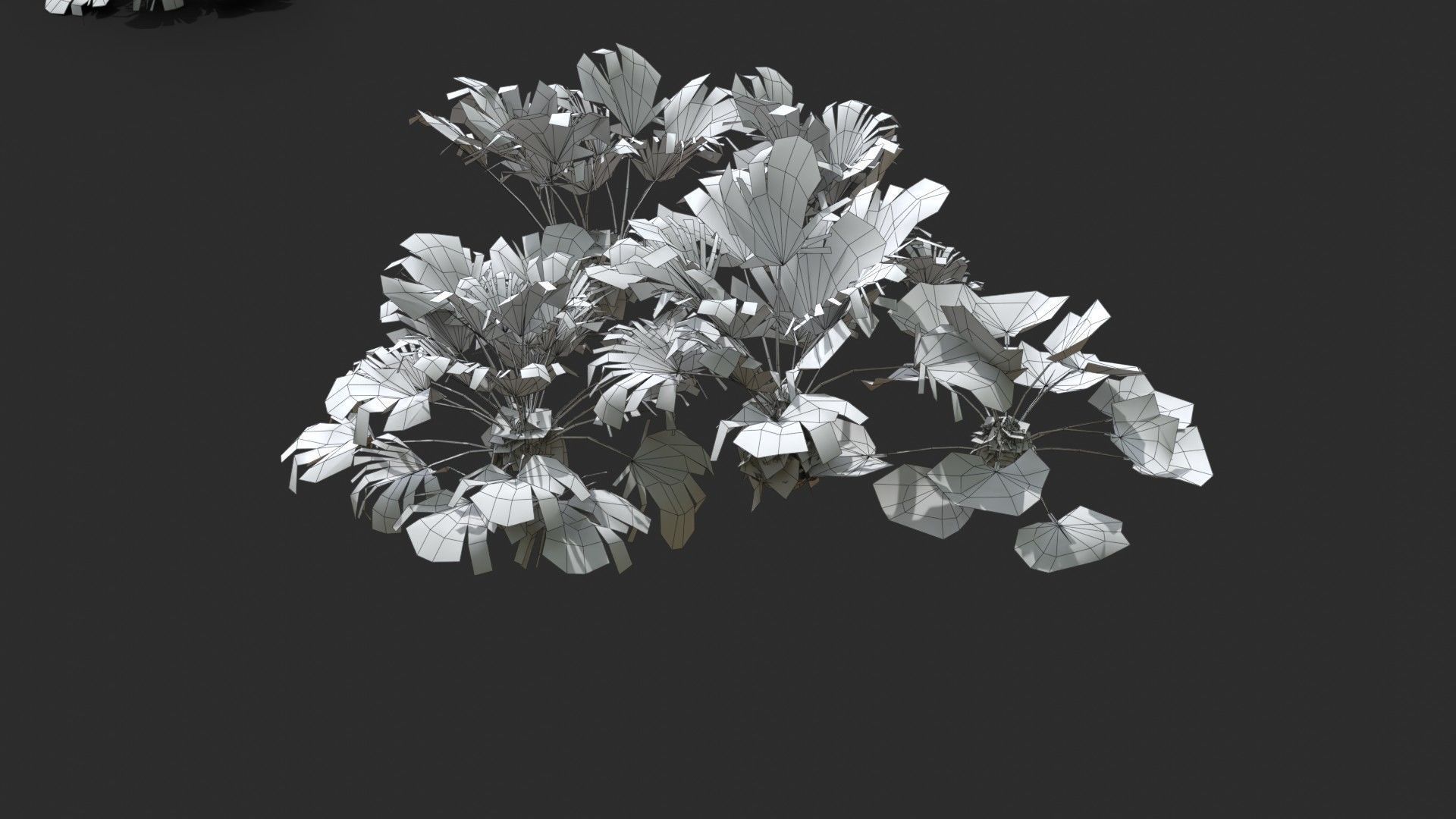 Modular Needle Palm Tree - Rhapidophyllum Hystrix Low-poly 3D model_18