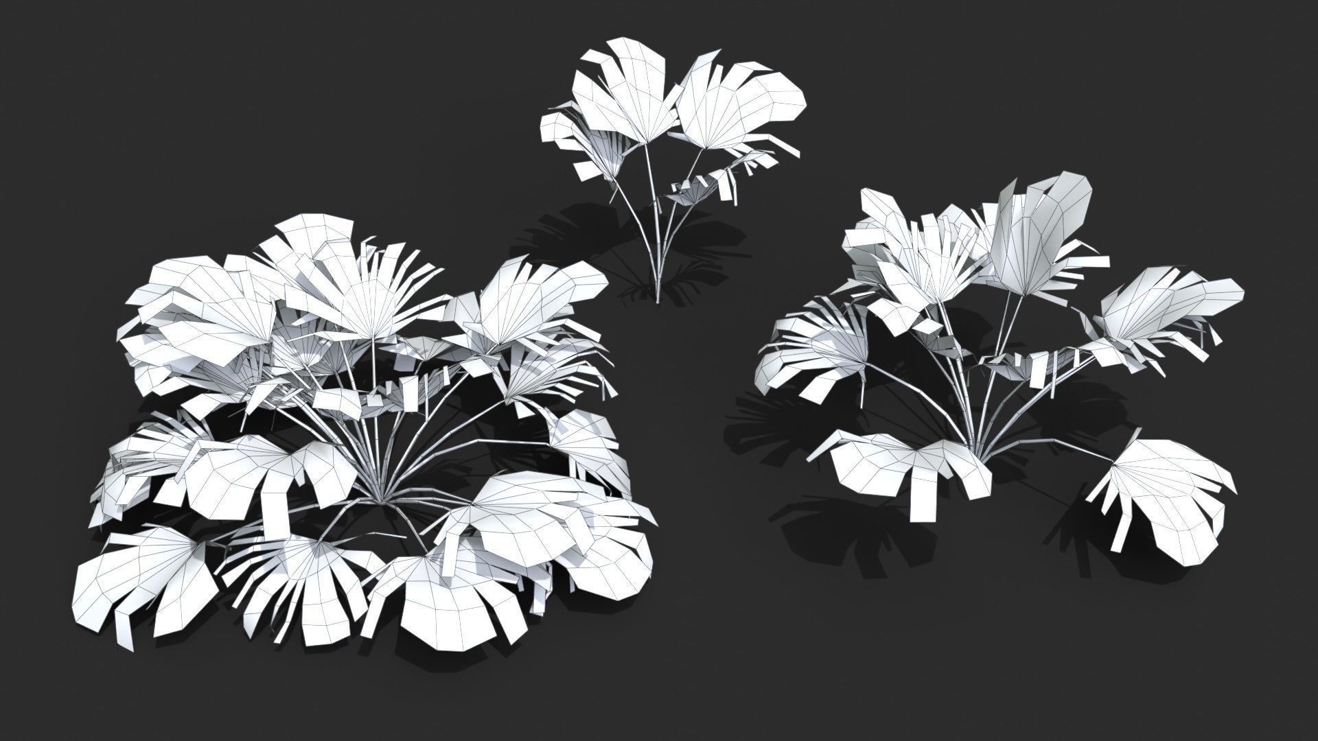 Modular Needle Palm Tree - Rhapidophyllum Hystrix Low-poly 3D model_26