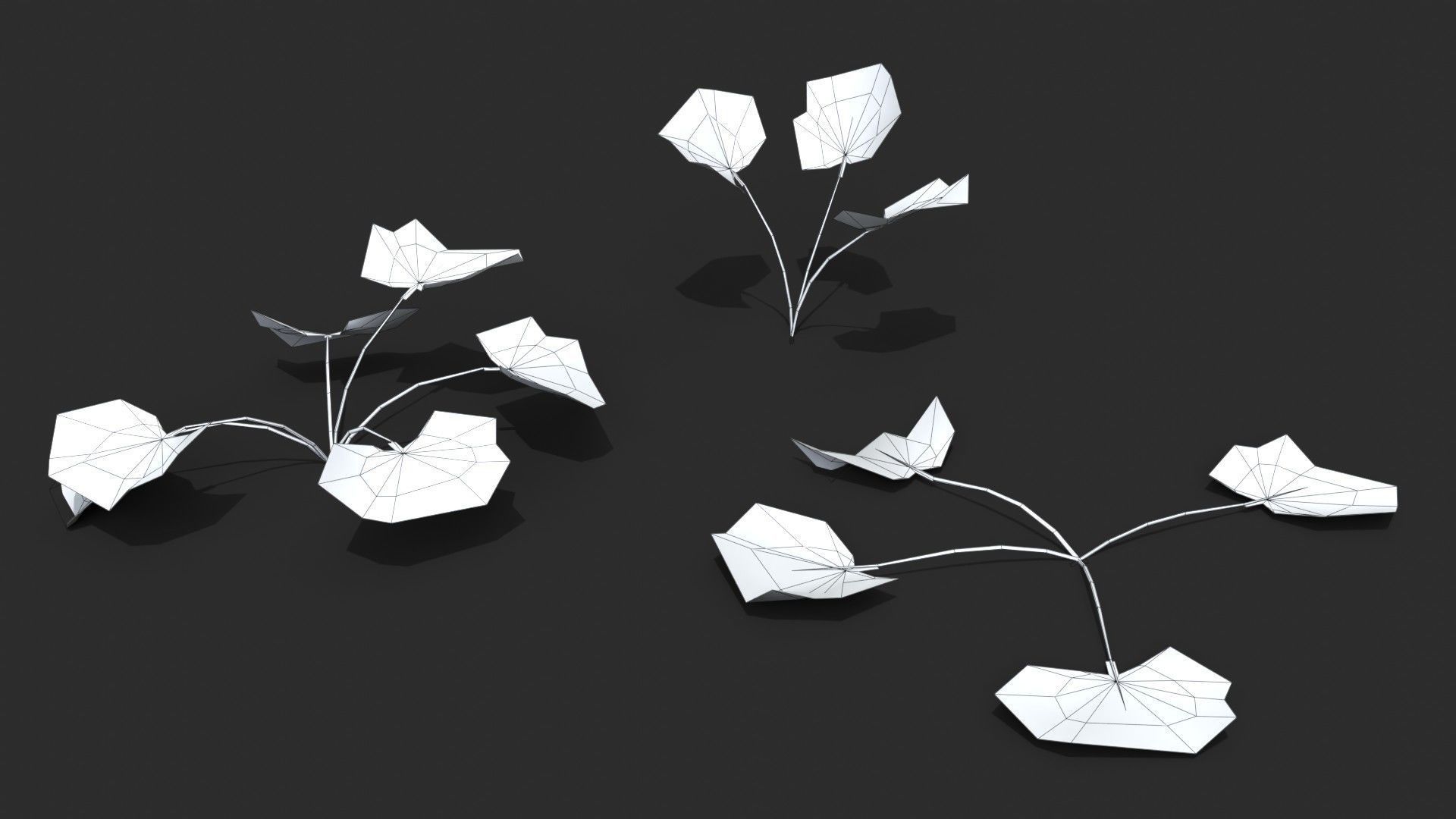 Modular Needle Palm Tree - Rhapidophyllum Hystrix Low-poly 3D model_25